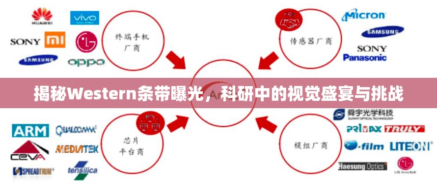 揭秘Western條帶曝光，科研中的視覺盛宴與挑戰(zhàn)