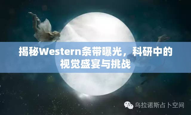 揭秘Western條帶曝光，科研中的視覺盛宴與挑戰(zhàn)