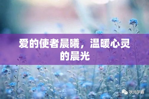 愛的使者晨曦，溫暖心靈的晨光