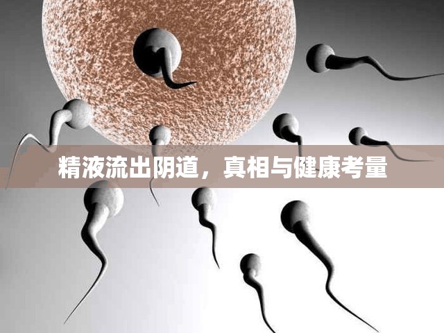 精液流出陰道，真相與健康考量
