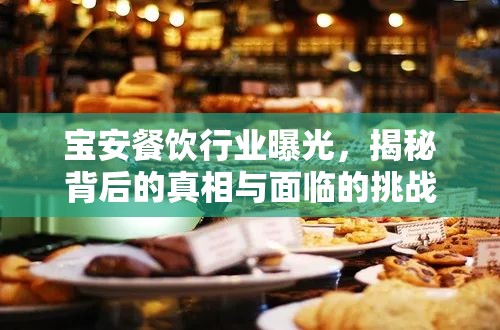 寶安餐飲行業(yè)曝光，揭秘背后的真相與面臨的挑戰(zhàn)