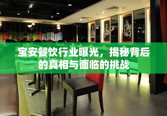 寶安餐飲行業(yè)曝光，揭秘背后的真相與面臨的挑戰(zhàn)