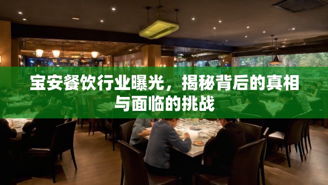 寶安餐飲行業(yè)曝光，揭秘背后的真相與面臨的挑戰(zhàn)