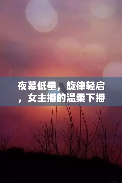 夜幕低垂，旋律輕啟，女主播的溫柔下播告別