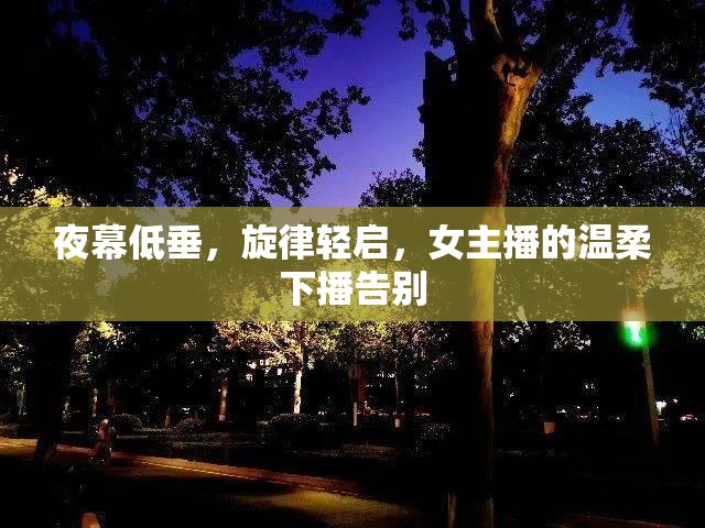 夜幕低垂，旋律輕啟，女主播的溫柔下播告別