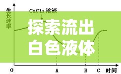 探索流出白色液體的奧秘，健康、性愛與生理反應(yīng)的深度解析