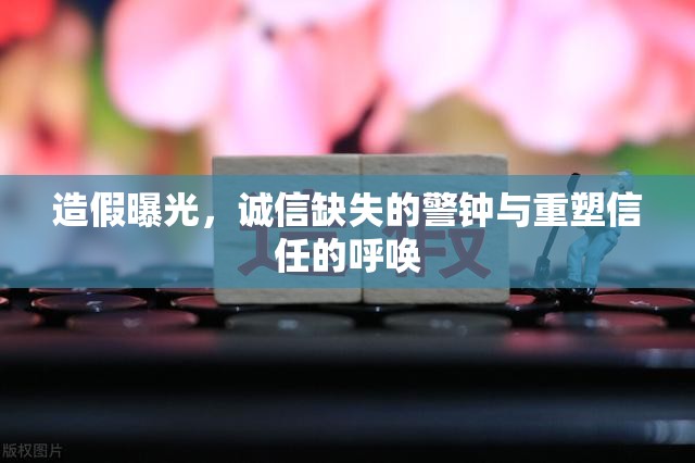 造假曝光，誠信缺失的警鐘與重塑信任的呼喚