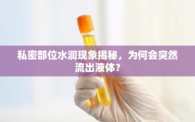 私密部位水潤現(xiàn)象揭秘，為何會突然流出液體？