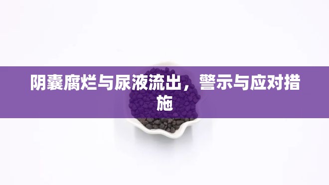 陰囊腐爛與尿液流出，警示與應(yīng)對(duì)措施
