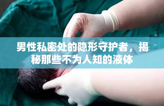 男性私密處的隱形守護者，揭秘那些不為人知的液體