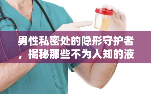 男性私密處的隱形守護者，揭秘那些不為人知的液體
