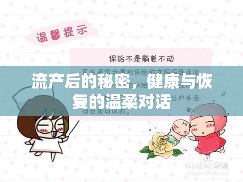 流產(chǎn)后的秘密，健康與恢復(fù)的溫柔對(duì)話