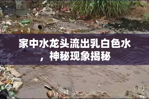 家中水龍頭流出乳白色水，神秘現(xiàn)象揭秘