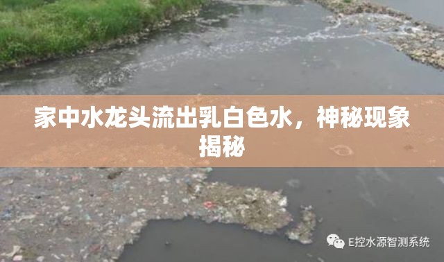 家中水龍頭流出乳白色水，神秘現(xiàn)象揭秘