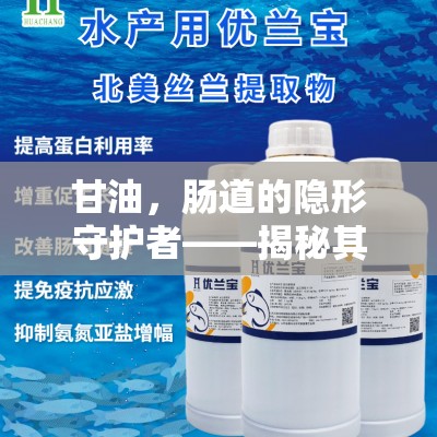 甘油，腸道的隱形守護(hù)者——揭秘其是否會(huì)自行流出