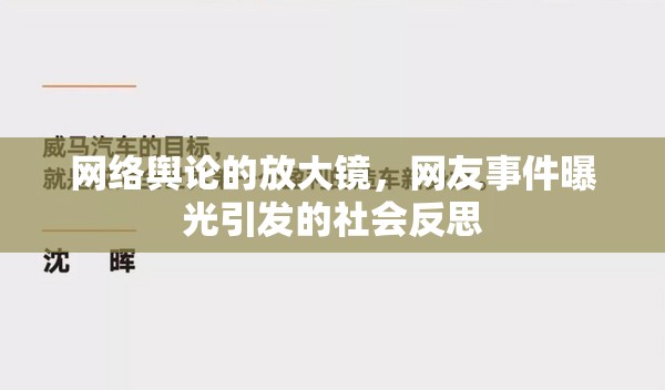 網(wǎng)絡(luò)輿論的放大鏡，網(wǎng)友事件曝光引發(fā)的社會反思