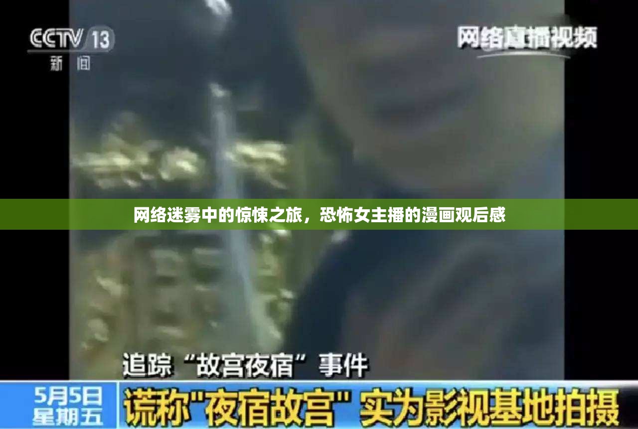 網(wǎng)絡(luò)迷霧中的驚悚之旅，恐怖女主播的漫畫觀后感