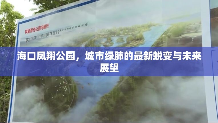 海口鳳翔公園，城市綠肺的最新蛻變與未來(lái)展望