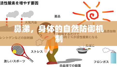 鼻涕，身體的自然防御機(jī)制