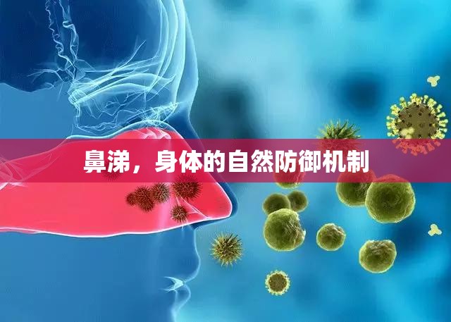 鼻涕，身體的自然防御機(jī)制