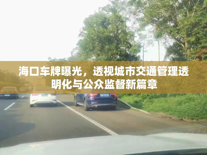 ?？谲嚺破毓?，透視城市交通管理透明化與公眾監(jiān)督新篇章
