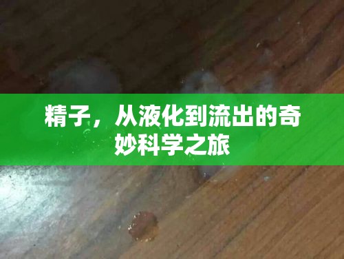 精子，從液化到流出的奇妙科學(xué)之旅