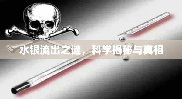水銀流出之謎，科學(xué)揭秘與真相