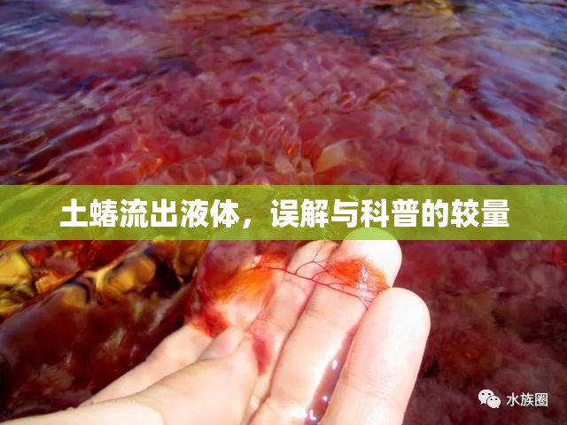 土蝽流出液體，誤解與科普的較量