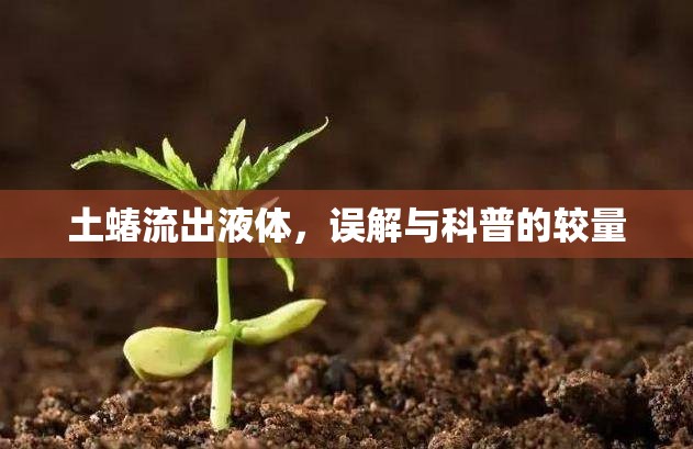 土蝽流出液體，誤解與科普的較量