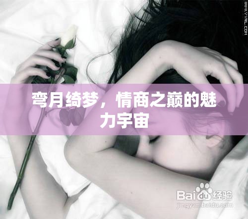 彎月綺夢，情商之巔的魅力宇宙