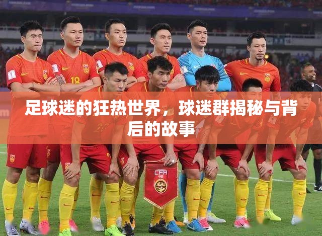 足球迷的狂熱世界，球迷群揭秘與背后的故事