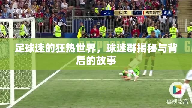 足球迷的狂熱世界，球迷群揭秘與背后的故事
