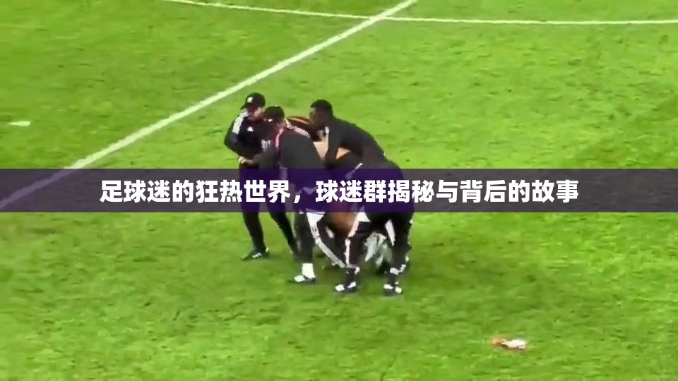 足球迷的狂熱世界，球迷群揭秘與背后的故事
