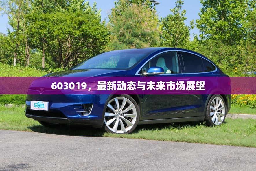 603019，最新動(dòng)態(tài)與未來(lái)市場(chǎng)展望