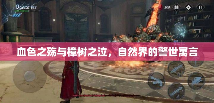 血色之殤與樟樹之泣，自然界的警世寓言