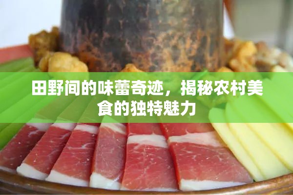 田野間的味蕾奇跡，揭秘農(nóng)村美食的獨(dú)特魅力