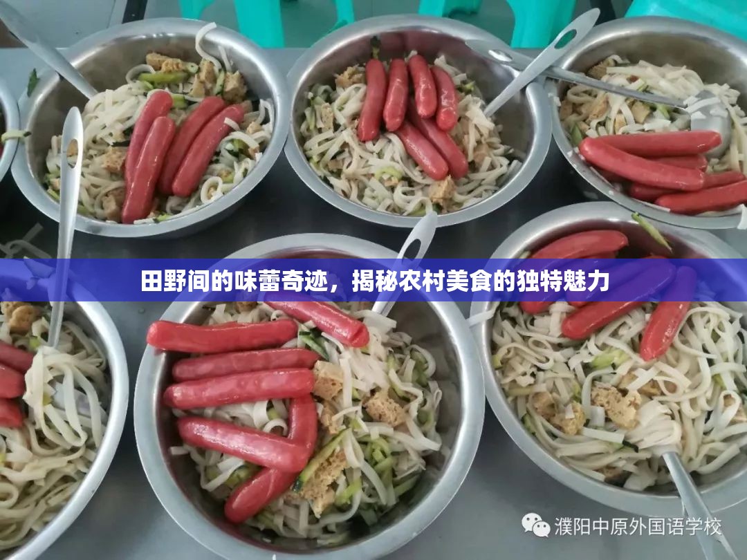 田野間的味蕾奇跡，揭秘農(nóng)村美食的獨(dú)特魅力