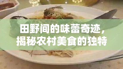 田野間的味蕾奇跡，揭秘農(nóng)村美食的獨(dú)特魅力