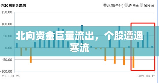北向資金巨量流出，個股遭遇寒流