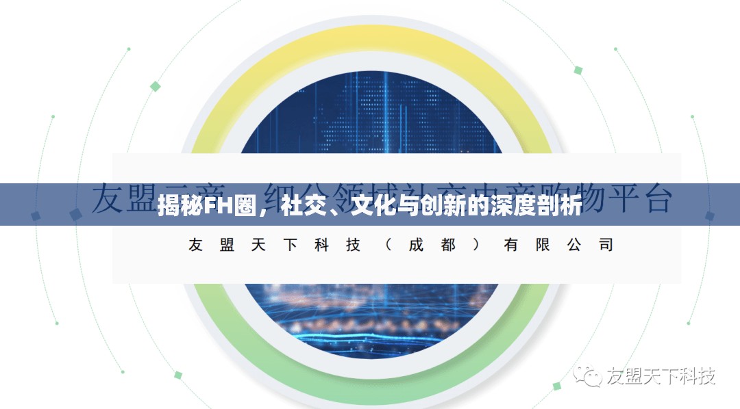 揭秘FH圈，社交、文化與創(chuàng)新的深度剖析
