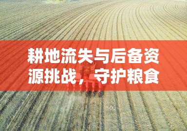 耕地流失與后備資源挑戰(zhàn)，守護糧食安全的未來之路
