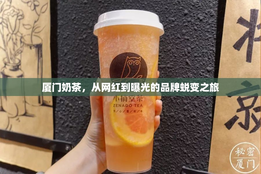 廈門奶茶，從網(wǎng)紅到曝光的品牌蛻變之旅
