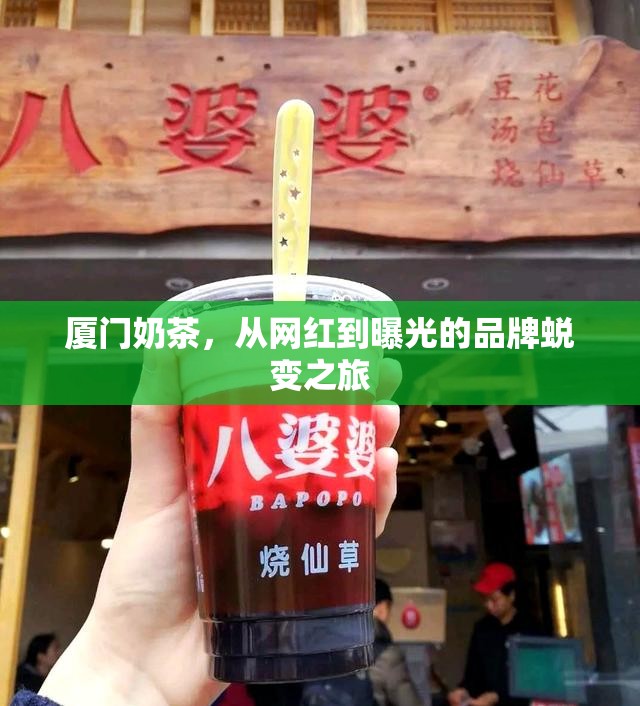 廈門奶茶，從網(wǎng)紅到曝光的品牌蛻變之旅