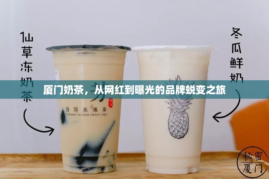 廈門奶茶，從網(wǎng)紅到曝光的品牌蛻變之旅