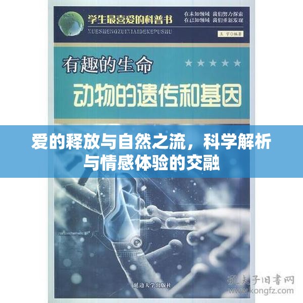 愛(ài)的釋放與自然之流，科學(xué)解析與情感體驗(yàn)的交融