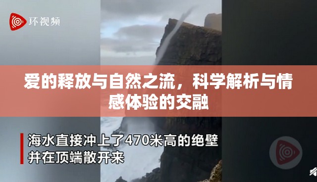愛(ài)的釋放與自然之流，科學(xué)解析與情感體驗(yàn)的交融