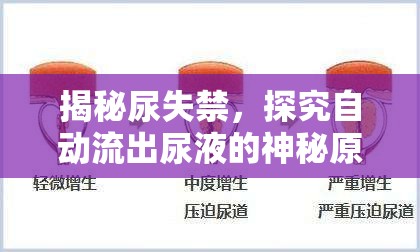 揭秘尿失禁，探究自動流出尿液的神秘原因