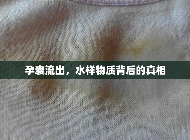 孕囊流出，水樣物質(zhì)背后的真相