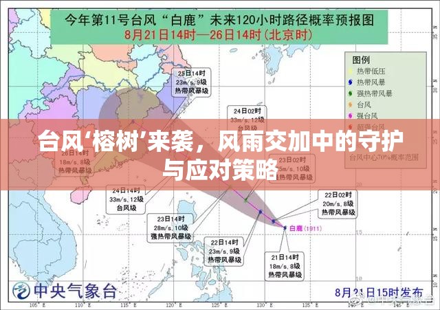 臺(tái)風(fēng)‘榕樹’來(lái)襲，風(fēng)雨交加中的守護(hù)與應(yīng)對(duì)策略