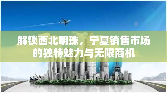 解鎖西北明珠，寧夏銷售市場的獨特魅力與無限商機